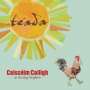 Téada: Coisceim Coiligh - As The Days Brighten, CD