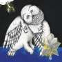 Songs:Ohia: Magnolia Electric Co. (10th Anniversary Deluxe Edition), 2 CDs