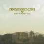 Phosphorescent: Here's To Taking It Easy, CD