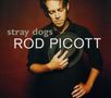 Rod Picott: Stray Dogs, CD, CD