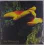 Der Blutharsch & Skullflower: Angel Of Darkness, LP