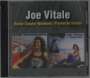 Joe Vitale: Roller Coaster Weekend / Plantation Harbor, CD