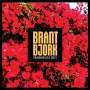 Brant Bjork: Bougainvillea Suite (Limited Edition) (Mustard Vinyl), LP