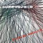 Richard Buckner: Surrounded, LP, LP