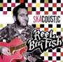 Reel Big Fish: Skacoustic, LP,LP