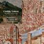 Gothic Voices - The Splendour of Florence, CD