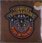 Turnpike Troubadours: A Cat In The Rain (Indie Exclusive Edition) (Opaque Tan Vinyl), LP
