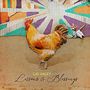 Cas Haley: Lessons & Blessings, LP, LP