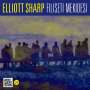Elliott Sharp: Filiseti Mekidesi, CD,CD