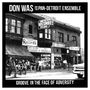 DON WAS AND THE PAN-DETROIT ENSEMBLE. JOE'S RECORDS. GROOVE IN THE FACE OF ADVERSITY. Gebäude mit Menschen davor., CD