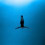 Eine Silhouette eines Schwimmers mit ausgestreckten Armen im tiefblauen Wasser., 2 CDs