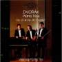 Antonin Dvorak: Klaviertrios Nr.1 & 4 (op.21 & 90), CD