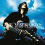 The Waterboys: A Rock In The Weary Land (Expanded Blue Colored Ed, 2 LPs