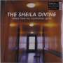 The Sheila Divine: Where Have My Countrymen Gone (Limited Edition) (Cloudy Clear Vinyl), LP