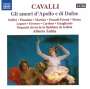 Francesco Cavalli (1602-1676): Gli amori d'Apollo e di Dafne, 2 CDs