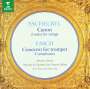 Johann Friedrich Fasch: Symphonien in G & A, CD