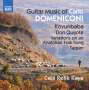 Carlo Domeniconi (geb. 1947): Gitarrenwerke, CD