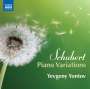 Franz Schubert: Variationen für Klavier, CD