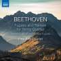Ludwig van Beethoven: Fugen & Raritäten für Streichquartett, CD