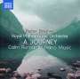 Peter Breiner: Klavierwerke "Calm Romantic Piano Music Vol.2 - A Journey", CD