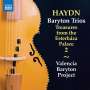 Joseph Haydn: Baryton-Trios H11 Nr.6,35,67,71,93,113, CD