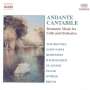 Andante Cantabile - Romantische Musik für Cello & Orchester, CD