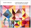 Oben steht "MARTY EHRLICH", "CARTOGRAPHIES OF FLIGHT", "Lines Set Afloat Towards Hope". Darunter farbige geometrische Muster., CD