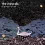 Thermals: Now We Can See, CD