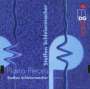 Steffen Schleiermacher: Klavierwerke, CD