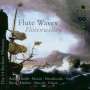 Die 14 Berliner Flötisten - Flute Waves, Super Audio CD