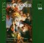Anton Bruckner (1824-1896): Motetten, Super Audio CD