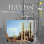 Joseph Haydn: Streichquartette Vol.13, CD