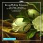 Georg Philipp Telemann: Konzerte für mehrere Instrumente & Orchester Vol.6, CD