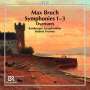 Max Bruch (1838-1920): Sämtliche Symphonien, 2 CDs