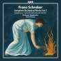 Franz Schreker (1878-1934): Sämtliche Orchesterwerke Vol.1, CD