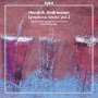 Hendrik Andriessen: Orchesterwerke Vol.2, CD