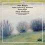 Max Bruch (1838-1920): Sämtliche Werke für Violine & Orchester Vol.3, CD