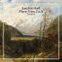 Joachim Raff (1822-1882): Klaviertrios Nr.2 & 3, CD