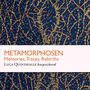 "METAMORPHOSEN Memories, Traces, Rebirths. Luca Quintavalle harpsichord." Goldene Linien auf dunkelblauem Hintergrund., CD