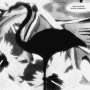 Mike Cooper: Black Flamingo, CD