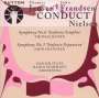 Carl Nielsen: Symphonien Nr.3 & 6, CD