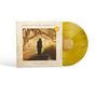 "LOREENA McKENNITT" und "lost souls" auf Plattencover. Frau in schwarzem Kleid auf Weg unter Bäumen, gelbe Schallplatte., LP