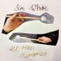 Jim White: All Hits: Memories, CD