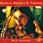 Ghalia Benali (geb. 1948): Wild Harissa, CD