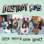 Destroy Boys: Open Mouth, Open Heart, LP