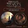 James Newton Howard (geb. 1951): Filmmusik: Fantastic Beasts & Where To Find Them (Picture Disc), Single 12"