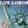Los Lobos: Disconnected In New York City, CD