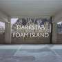 Darkstar: Foam Island, LP