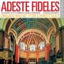 : Orgelmusik zur Weihnacht "Adeste Fideles", CD