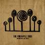 The Pineapple Thief: Nothing But The Truth, 2 LPs